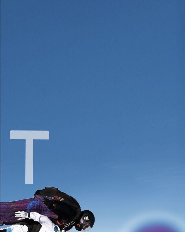SkyVibration - Vol en wingsuit tandem