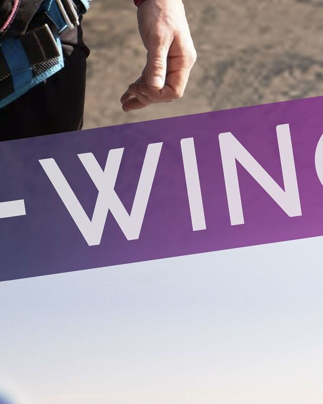 SkyVibration - Vol en wingsuit tandem