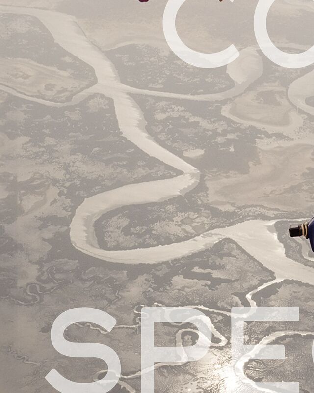 SkyVibration - Vol en wingsuit tandem