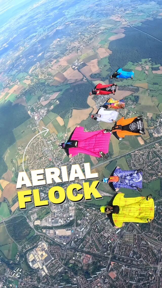 Aerial View of Wingsuit Flock ! #wingmate ✨☁️ How many do you think we are? 😄Skyfall WS Camp at @parachutisme_71 is the biggest WS event in France from far and we have done it for many years. Thank you, @ambroise_serrano for organizing the #wingmate with all these skilled flyers and wonderful people!@parachutisme_71 @squirrel.ws @vigil_aad @lbaltimeters @tonfly_official @performancedesigns ______________________#wingsuit #skyvibration #flock #birds #wingsuiteverydamnday #wingsuitflying #cloudscapes #wingmates