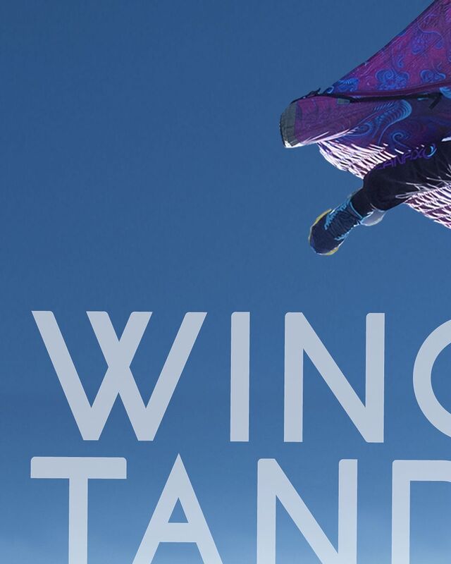 SkyVibration - Vol en wingsuit tandem