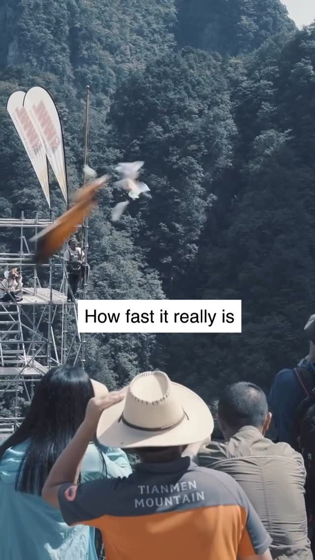 It feels smooth when flying in the Sky.Although, this is what your speed looks like from outside, with a still environment . 😁#wingsuit #tandemwingsuit #skyvibration #basejumping